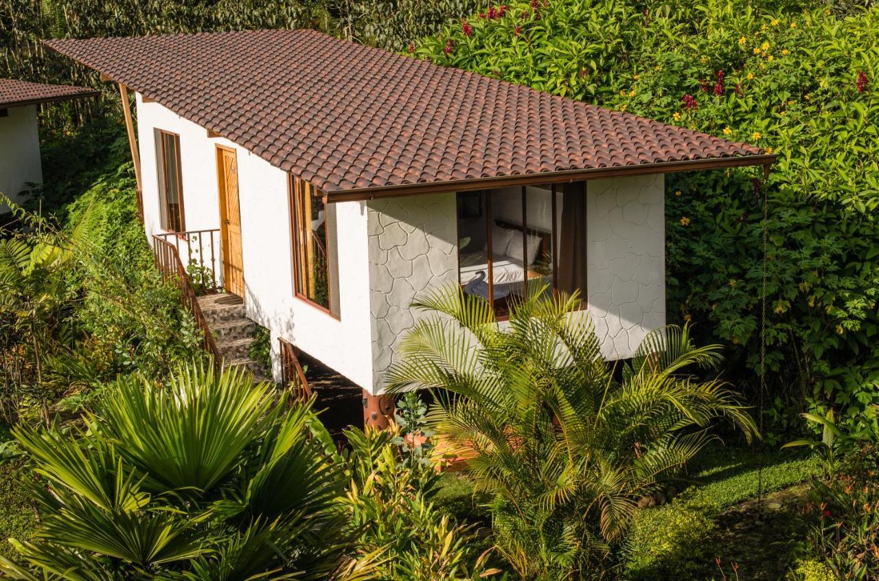 Coffee Cristal Glamping & Lodge